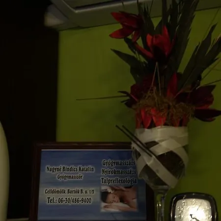 בית נופש Mesteri Apartman